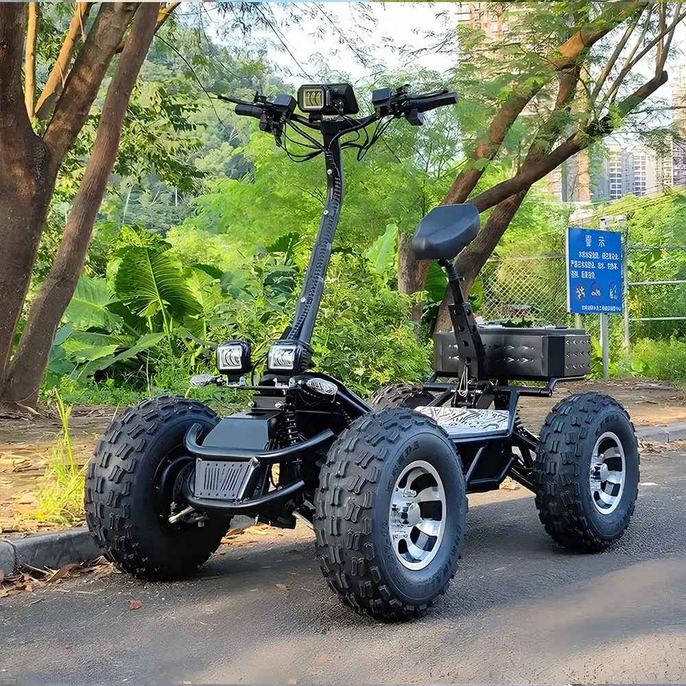 ESWING High Power 10000 Motor  - 60V 50Ah Electric Scooter Battery recension och pris